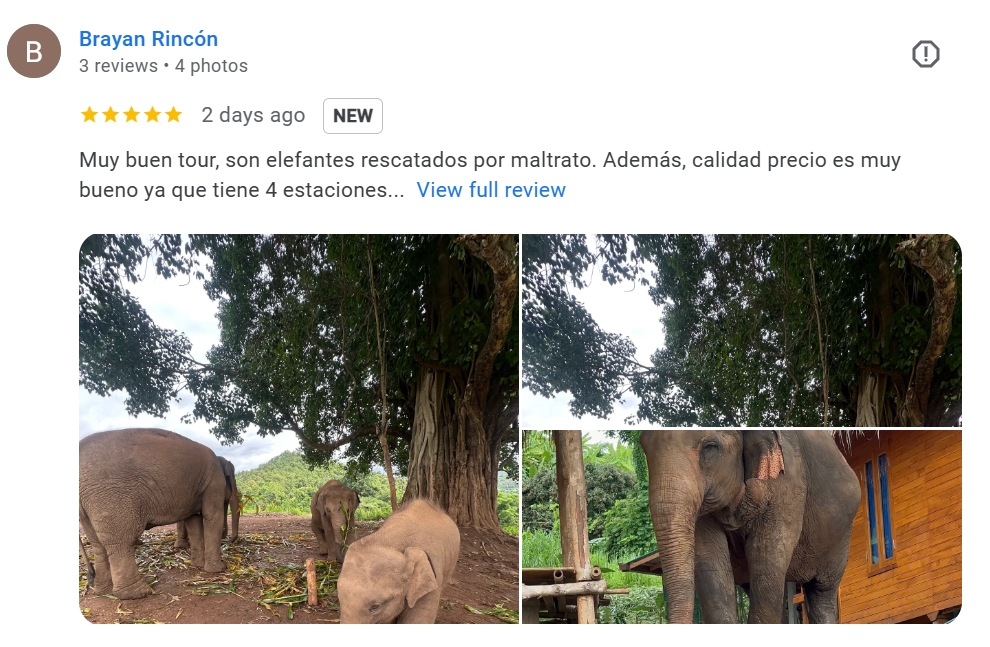 pon elephpant chiangmai thailand reviews